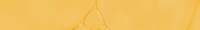 Aetoxcylon Oil