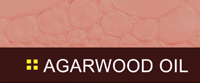 Agarwood Oil 