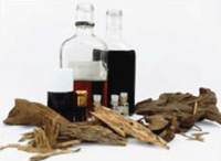 Agarwood Oil and Aquilaria Malaccensis, Aquilaria Filaria, Gyrinops SPP