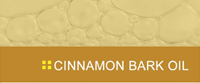 Cinnamon Bark Oil