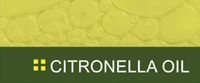 Citronella Oil