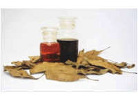 Clove Leaves Oil