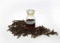 Clove Stem Oil