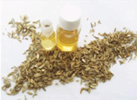 Fennel Oil