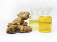 Ginger Oil