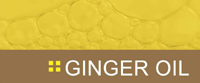 Ginger Oil