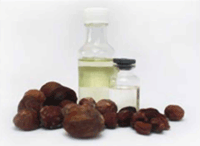 Nutmeg Oil
