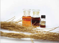 Vetiver Oil And Vetiver Plant