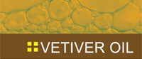 Vetiver Oil